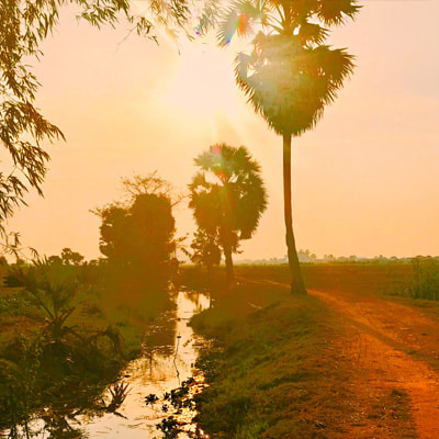 sunset, rice fields siem reap, phnom krom, siem reap river, painting, watercolour