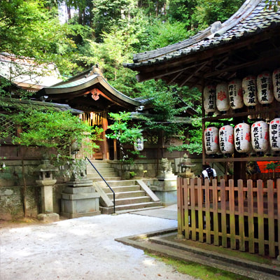 Mountain temple, kyoto, japan, sketching, tour, 