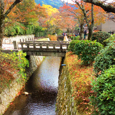 Philosophers walk kyoto, biwa canal, japan, gardens, 